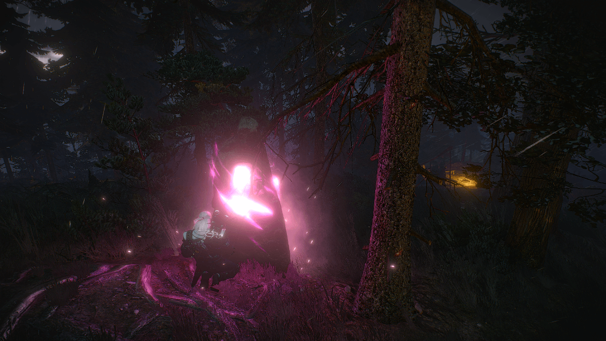 The Witcher 3 Screenshot 2017.12.13 03.20.42.21