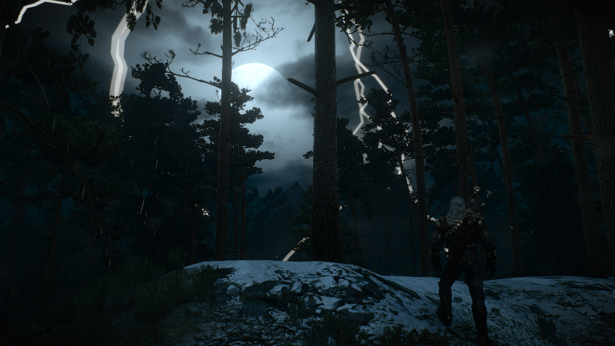 The Witcher 3 Screenshot 2018.01.10 03.10.11.99